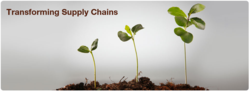 supply chain, supply chain transformation, future supply chain professionals
